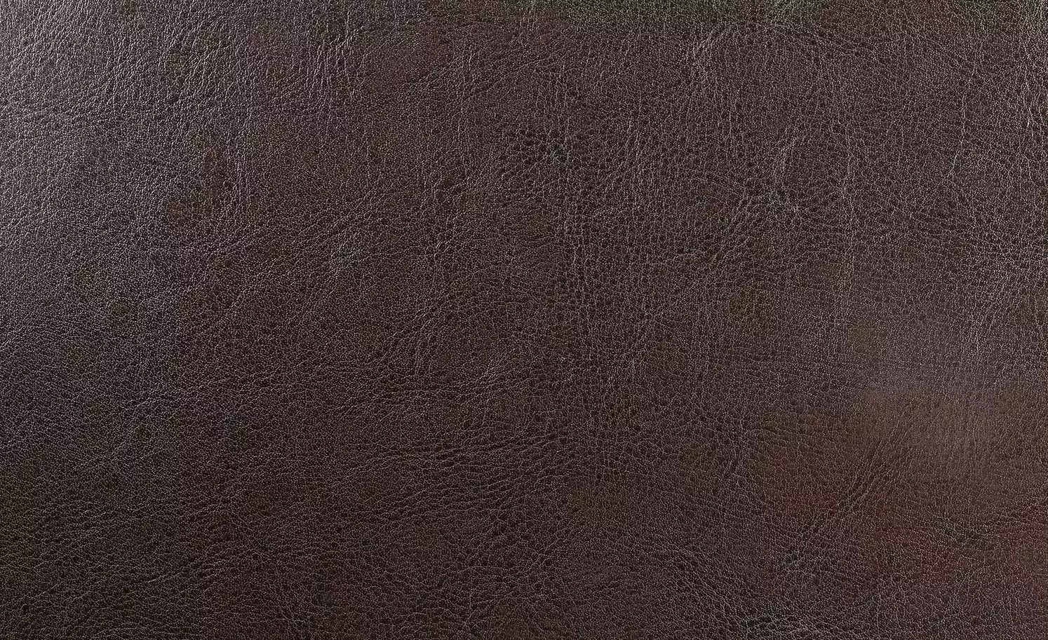 Polsterstuhl Gasparo | Dunkelbraun 5 Polsterstuhl Gasparo | Dunkelbraun – Bild 3