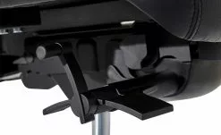 Chefsessel Sitness Director 900 -Stühle Verkäufe 2023 10356842 4 201811271500