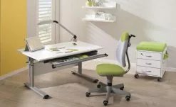 PAIDI Kinder-und Jugenddrehstuhl Pepe | 2-farbig (Grün / Weiß)