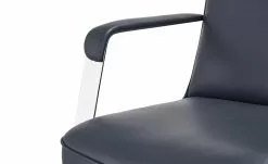 Chefsessel Schilde -Stühle Verkäufe 2023 10359223 6 201811271536