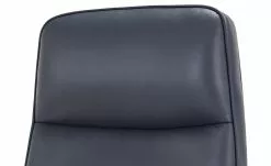 Chefsessel Schilde -Stühle Verkäufe 2023 10359223 7 201811271536