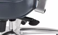 Chefsessel Schilde -Stühle Verkäufe 2023 10359223 8 201811271536