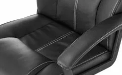 Chefsessel Bibert -Stühle Verkäufe 2023 10359229 7 201902151059