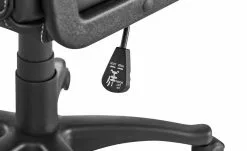 Chefsessel Bibert -Stühle Verkäufe 2023 10359229 8 201902151059