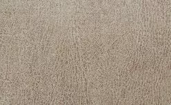 Polsterstuhl Top-Chairs | Natur (Beige) Eiche San Remo -Stühle Verkäufe 2023 11303192 7 201811271501