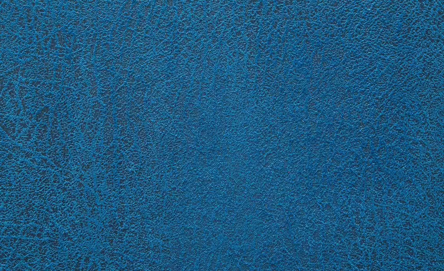 Polsterstuhl Top-Chairs | Blau Eiche San Remo 7 Polsterstuhl Top-Chairs | Blau Eiche San Remo – Bild 5