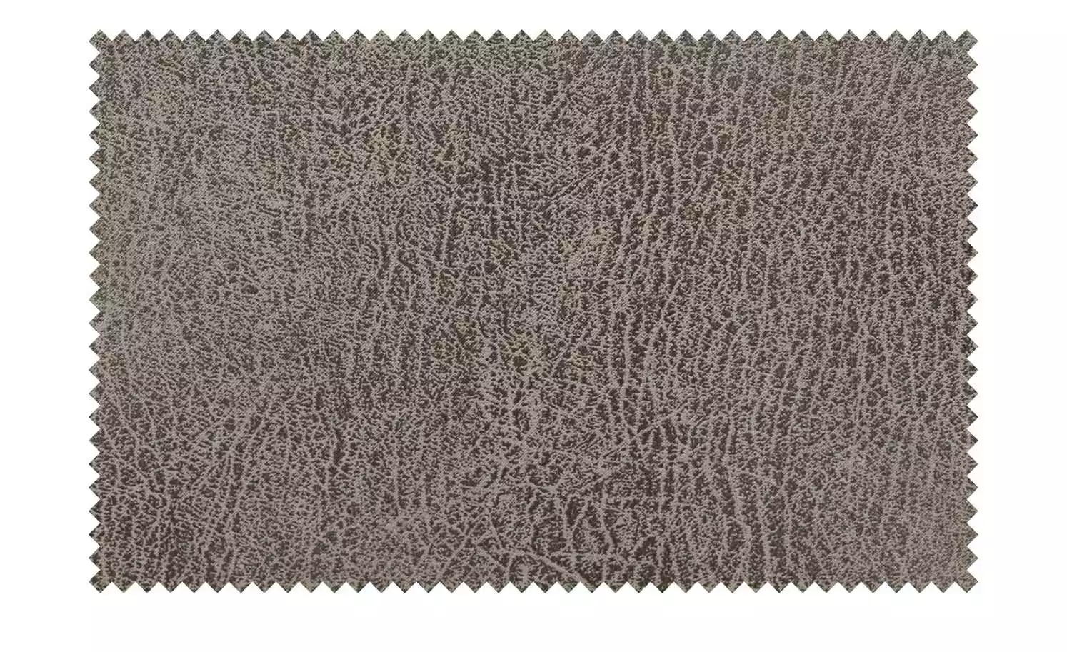 Polsterstuhl Top-Chairs | Savannah (Braun) Kernbuche 11 Polsterstuhl Top-Chairs | Savannah (Braun) Kernbuche – Bild 9