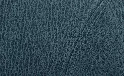 Polsterstuhl Top-Chairs | Blau Kernbuche -Stühle Verkäufe 2023 11303224 2 201811271528