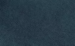 Polsterschwingstuhl Top Chairs | Blau -Stühle Verkäufe 2023 11303232 6 201811271535