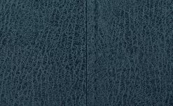 Polsterschwingstuhl Top Chairs | Blau -Stühle Verkäufe 2023 11303232 7 201811271535