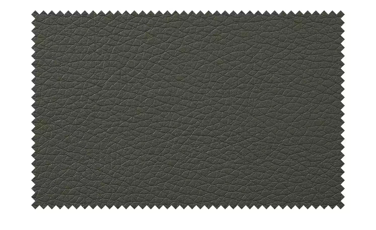 Wohnwert Freischwinger Paavo | Fango (Anthrazit) Ja 10 Wohnwert Freischwinger Paavo | Fango (Anthrazit) Ja – Bild 8