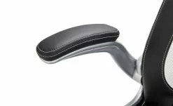 Chefsessel Fluvia -Stühle Verkäufe 2023 11350446 6 201811271608