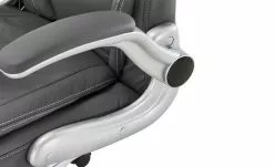 Chefsessel Barnitz -Stühle Verkäufe 2023 11350846 7 201908272236