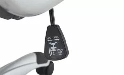 Chefsessel Barnitz -Stühle Verkäufe 2023 11350846 9 201908272236