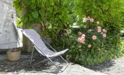 Lafuma Relaxstuhl Maxi Transat | Magnolia (Rosa)