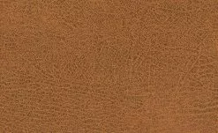 Polsterstuhl Top-Chairs | Terracotta Eiche -Stühle Verkäufe 2023 12302413 1 201811271509