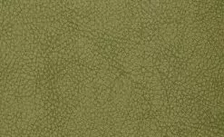 Polsterstuhl 2er Set Buche kiwi Marlon 11 Polsterstuhl 2er Set Buche kiwi Marlon -Stühle Verkäufe 2023 12302883 2 201811271507