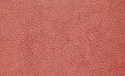 Polsterstuhl 2er Set Buche rot Marlon 11 Polsterstuhl 2er Set Buche rot Marlon -Stühle Verkäufe 2023 12302884 2 201811271507