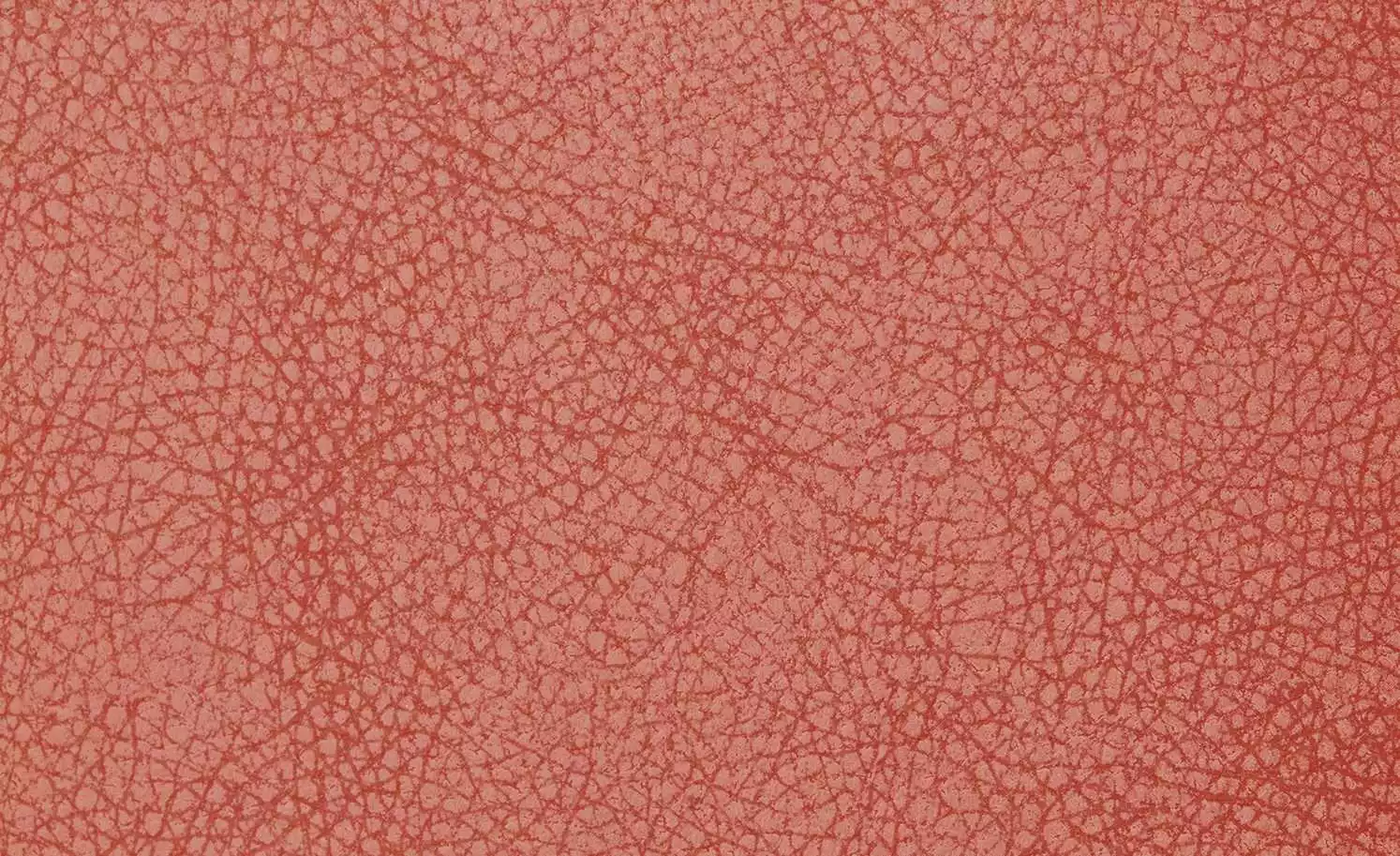 Polsterstuhl 2er Set Buche rot Marlon 5 Polsterstuhl 2er Set Buche rot Marlon – Bild 3