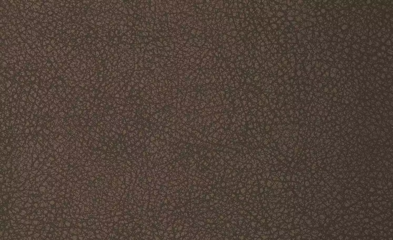 Polsterstuhl 2er Set Buche braun Marc 6 Polsterstuhl 2er Set Buche braun Marc – Bild 4