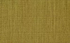 Polsterstuhl 2er Set Buche kiwi Marc 15 Polsterstuhl 2er Set Buche kiwi Marc -Stühle Verkäufe 2023 12302921 4 201811271507