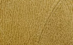 Polsterstuhl Top-Chairs | Gelb Kernbuche -Stühle Verkäufe 2023 12307012 1 201811271528