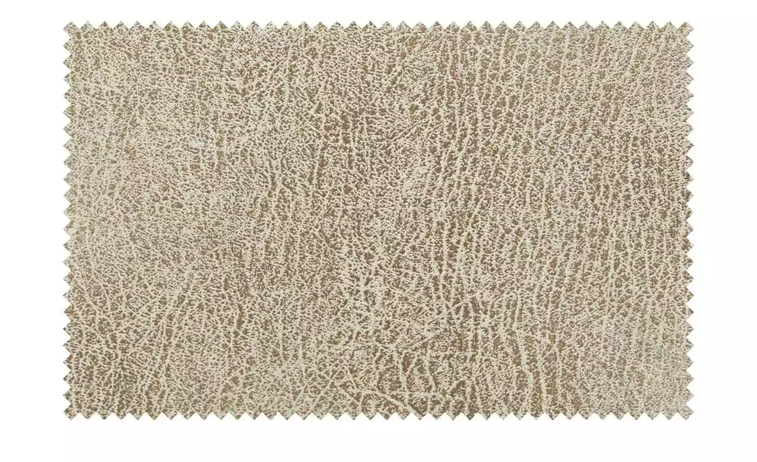 Polsterstuhl Top-Chairs | Natur (Beige) Kernbuche 4 Polsterstuhl Top-Chairs | Natur (Beige) Kernbuche – Bild 2