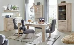 Schwingstuhl Tamme | Grau silberfarben -Stühle Verkäufe 2023 12308630 10 202209170030