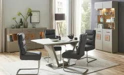 Schwingstuhl Tamme | Grau silberfarben -Stühle Verkäufe 2023 12308630 7 201907232252