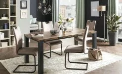 Schwingstuhl Nico -Stühle Verkäufe 2023 13302501 3 201902182203