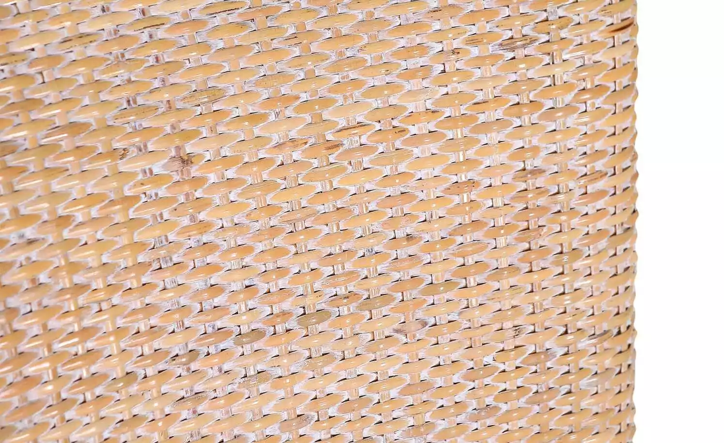 Polsterstuhl Coma 5 Polsterstuhl Coma – Bild 3