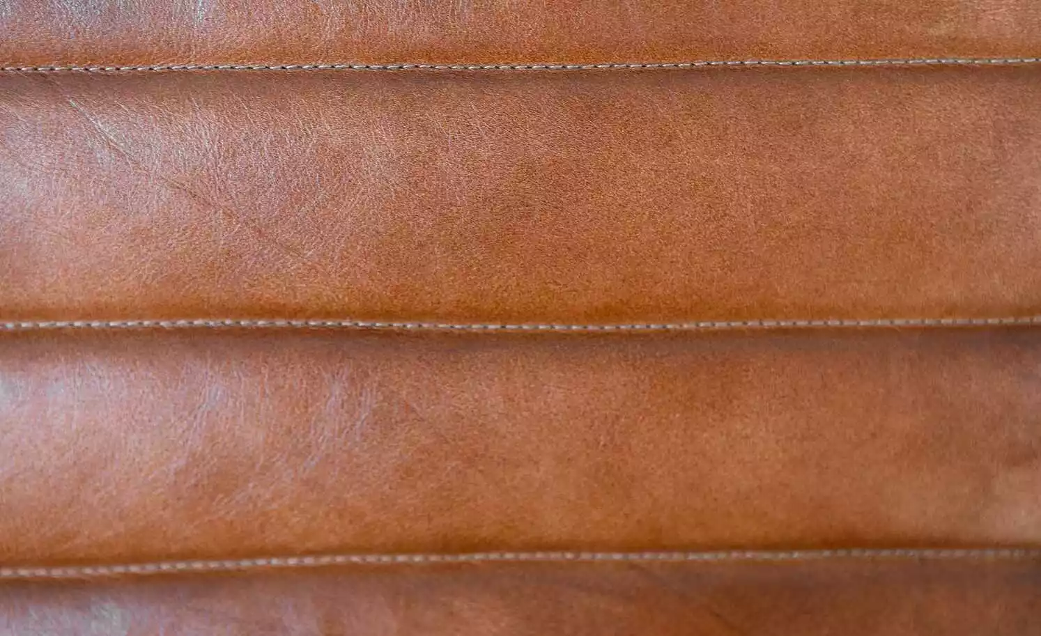 Leder Schwingstuhl mit Armlehne Buff | Cognacfarben 5 Leder Schwingstuhl mit Armlehne Buff | Cognacfarben – Bild 3