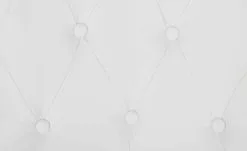 Polsterstuhl Richard | Weiß -Stühle Verkäufe 2023 14301322 6 201912112235