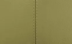 Berger & Rath Kufenstuhl Leder Lanx | Hellgrün -Stühle Verkäufe 2023 14302233 4 202102151237