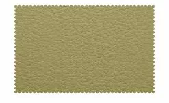 Berger & Rath Kufenstuhl Leder Lanx | Hellgrün -Stühle Verkäufe 2023 14302233 6 202102151237