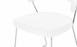 Connubia Kufenstuhl Leder New York | Schneeweiß -Stühle Verkäufe 2023 14305787 7 202112022232