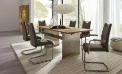 Wohnwert Freischwinger Paavo | Braun Ja