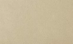 Wohnwert Armlehnstuhl Alvar | Beige -Stühle Verkäufe 2023 14306691 7 202101262258