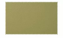 Berger & Rath Kufenstuhl Leder Lanx | Hellgrün -Stühle Verkäufe 2023 14307339 8 202102152236