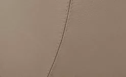 Berger & Rath Kufenstuhl Leder Lanx | Dunkelbeige -Stühle Verkäufe 2023 14307340 6 202102152236