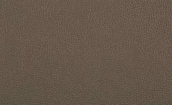 uno Freischwinger Letitia | Cappuccino Kunstleder -Stühle Verkäufe 2023 14307873 2 202102122236