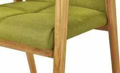 Woodford Polsterstuhl Anni | Lemon (Grün) Ja -Stühle Verkäufe 2023 14307901 6 202206141234