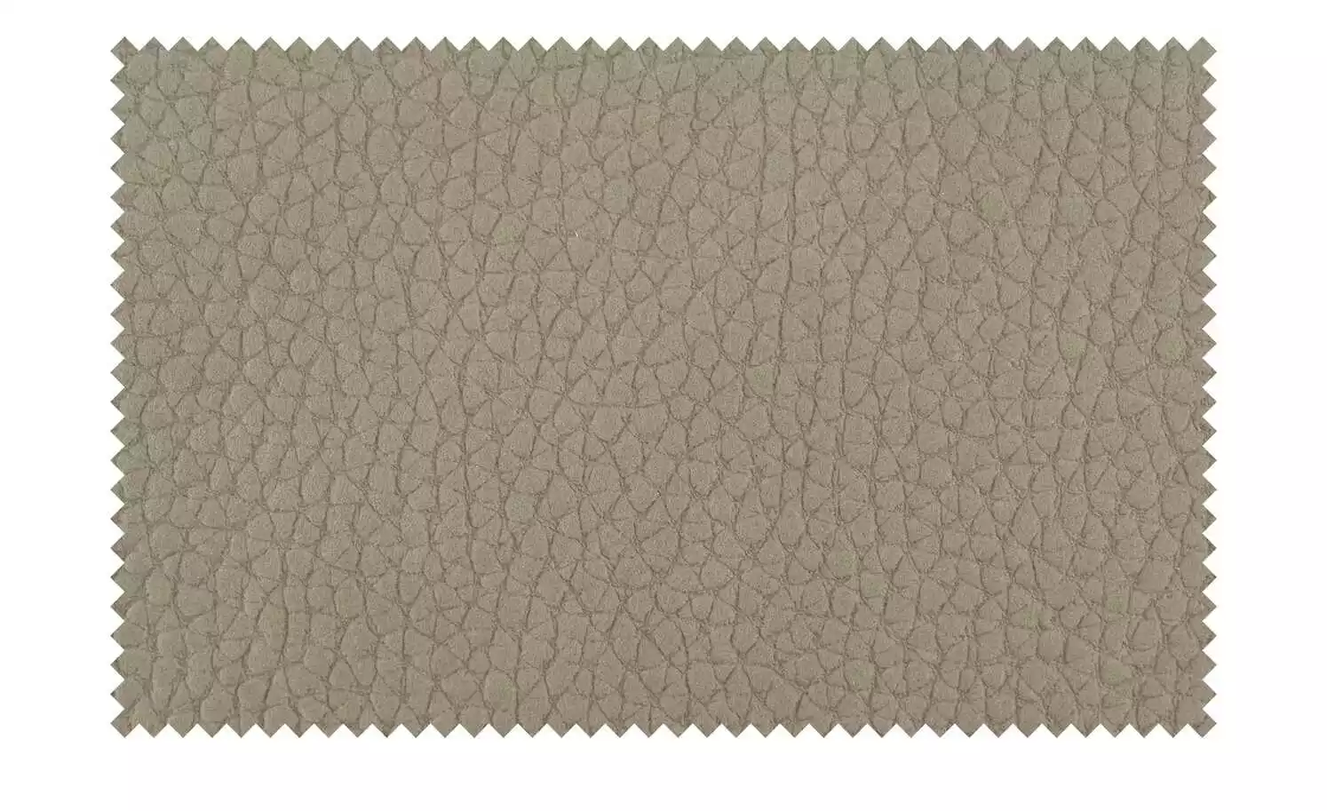 Polsterschwingstuhl Canto I | Sand (Beige) 12 Polsterschwingstuhl Canto I | Sand (Beige) – Bild 10
