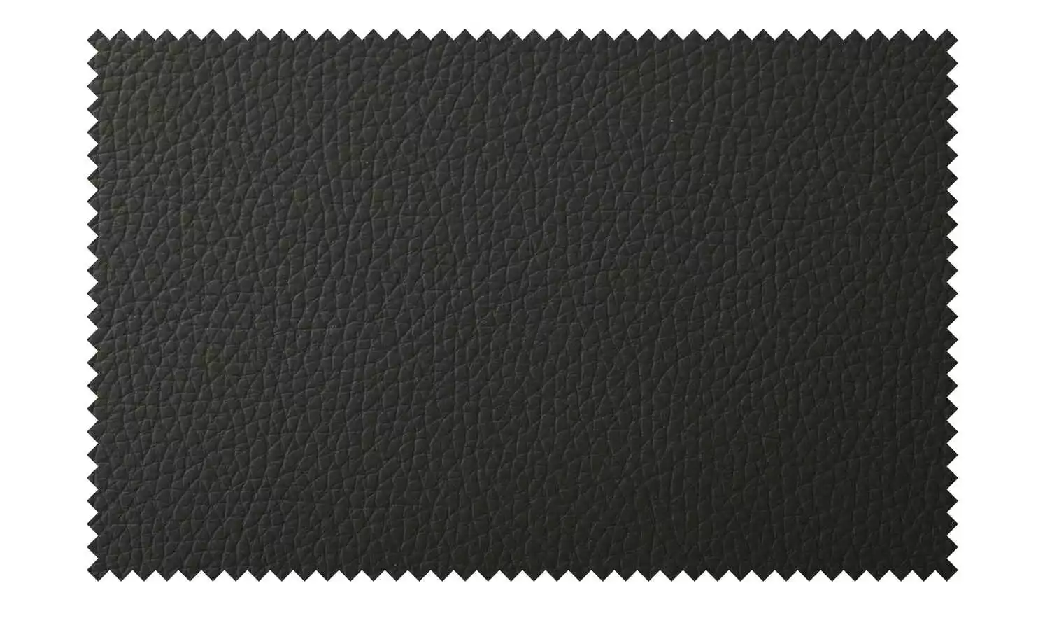 Leder-Polsterstuhl Canto III | Schoko (Braun) 6 Leder-Polsterstuhl Canto III | Schoko (Braun) – Bild 4