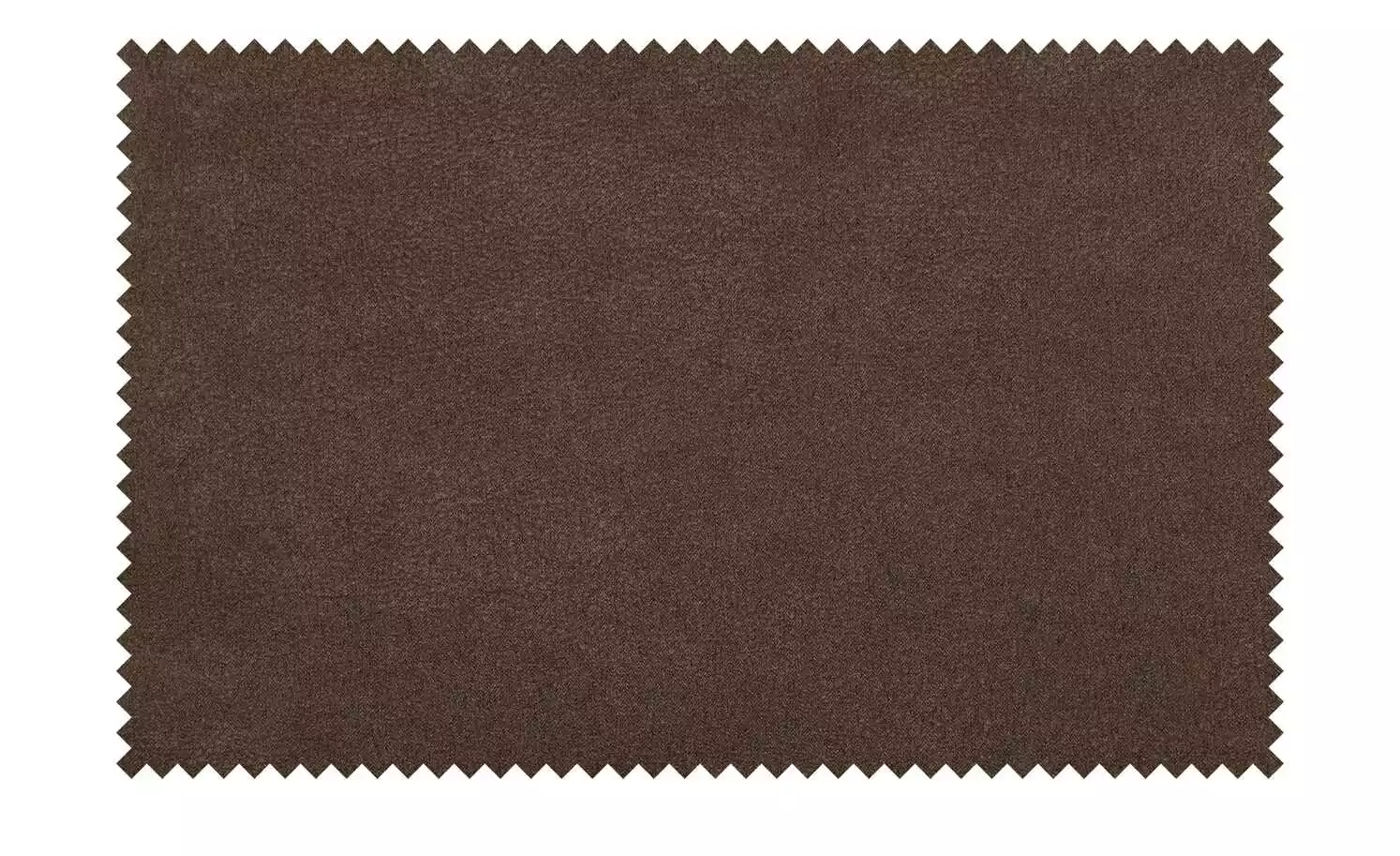 Freischwinger Casablanca | Espresso (Dunkelbraun) 4 Freischwinger Casablanca | Espresso (Dunkelbraun) – Bild 2