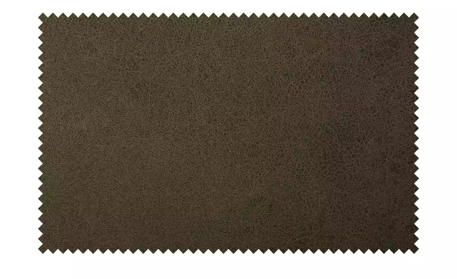 Berger & Rath Polsterstuhl Certo | Dark Brown (Braun) Cremeweiß 7 Berger & Rath Polsterstuhl Certo | Dark Brown (Braun) Cremeweiß – Bild 5