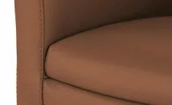 Wohnwert Leder-Schalenstuhl Jalto | Cognacbraun Nein -Stühle Verkäufe 2023 14309706 7 202106292232