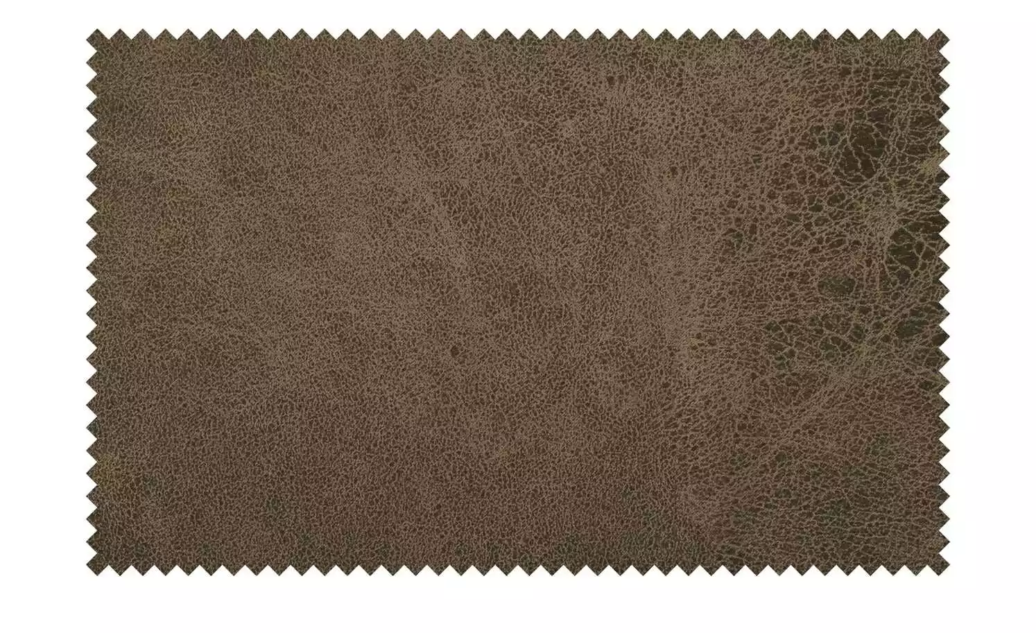 Polsterstuhl E25 | Dark Brown (Braun) 5 Polsterstuhl E25 | Dark Brown (Braun) – Bild 3