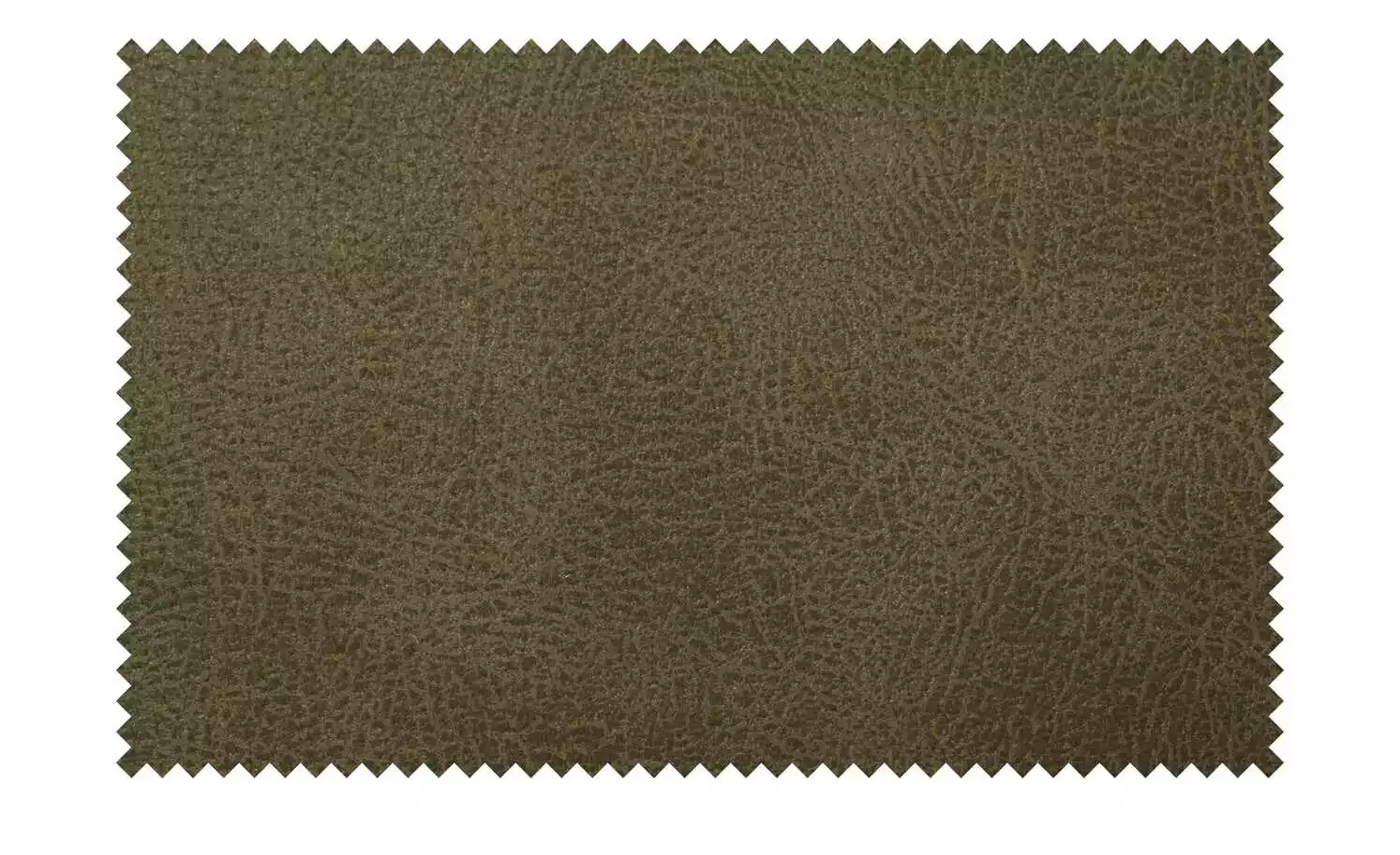 Kufenstuhl mit Griff | Grün 10 Kufenstuhl mit Griff | Grün – Bild 8