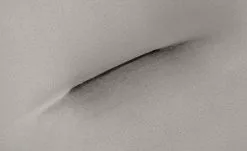 Connubia Polsterstuhl Maya | Sand (Grau-Beige) 15 Connubia Polsterstuhl Maya | Sand (Grau-Beige) -Stühle Verkäufe 2023 15304566 2 202112071238